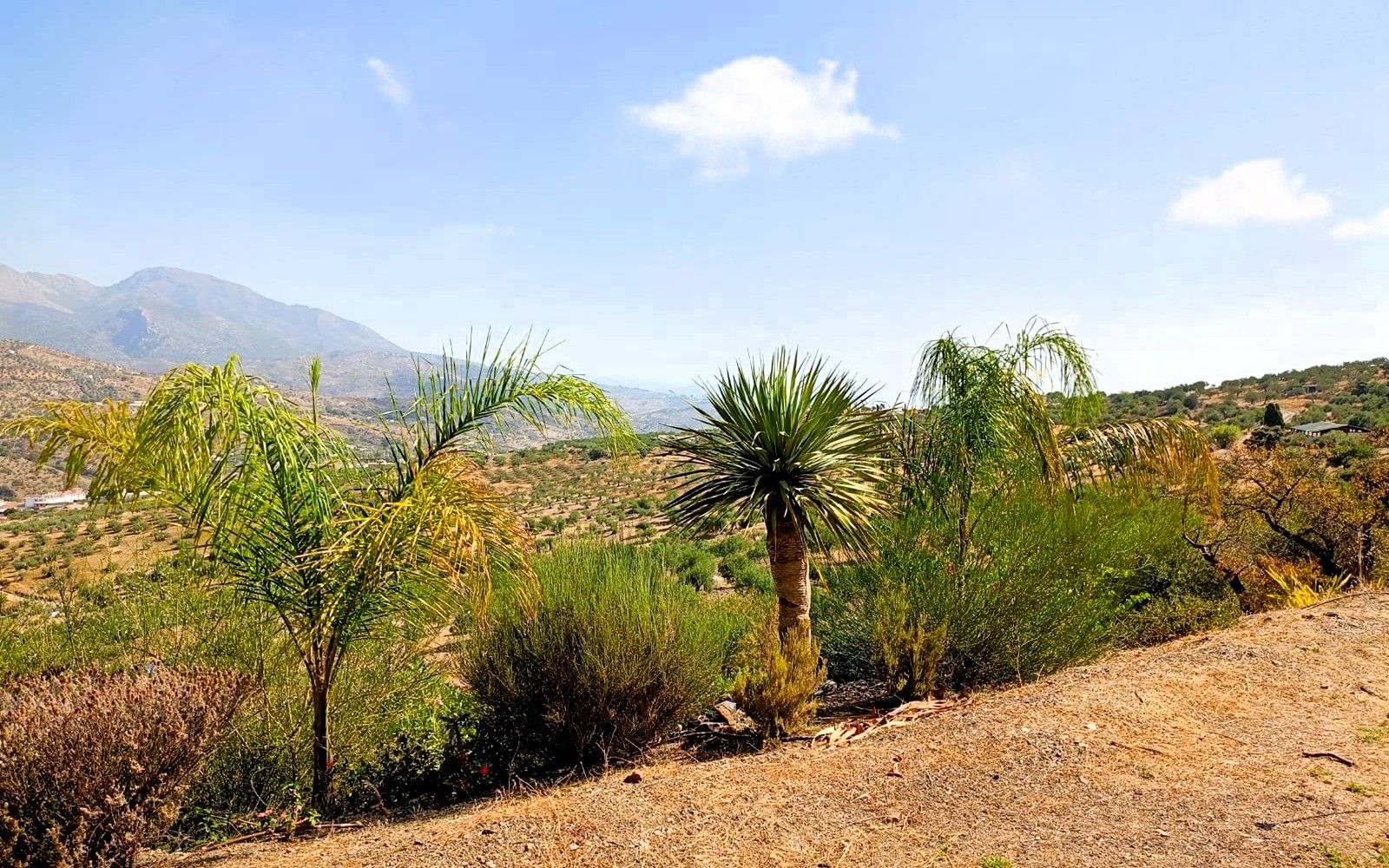 HouseFor Sale, Tolox, Malaga