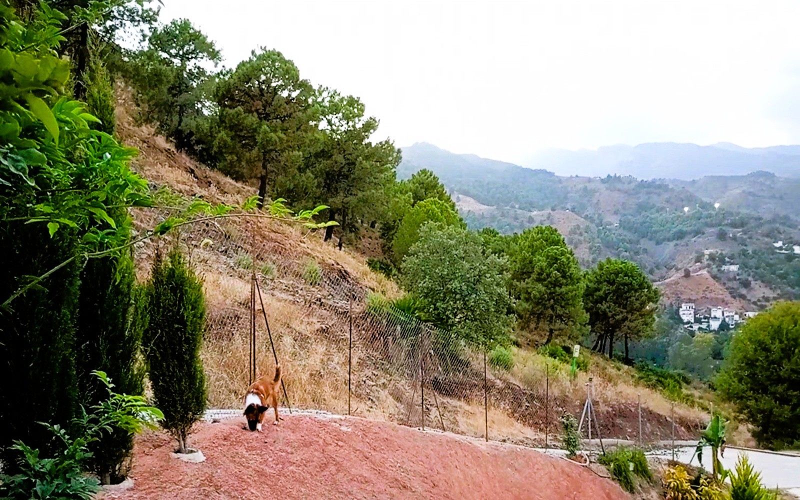 HouseFor Sale, Tolox, Malaga