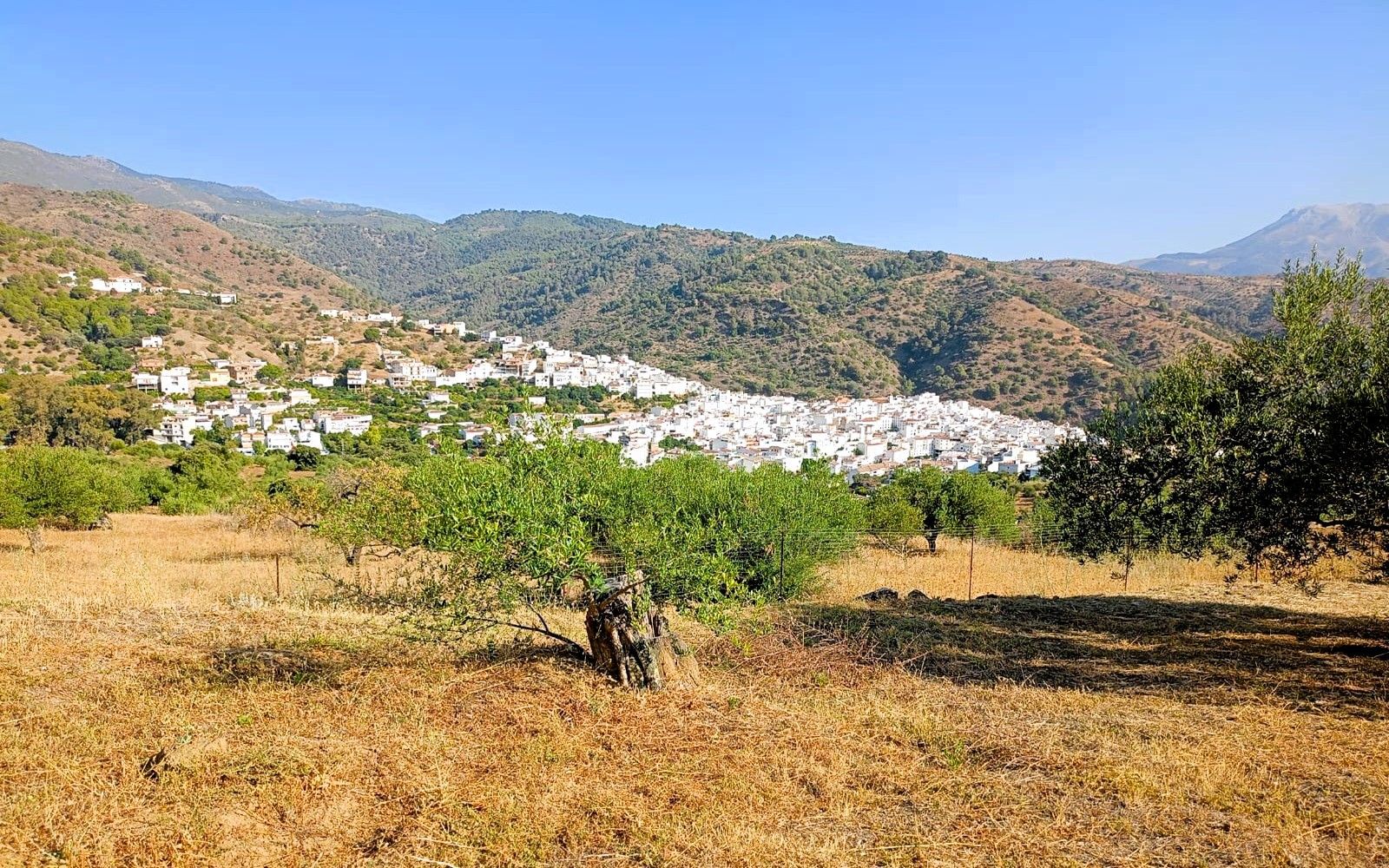 HouseFor Sale, Tolox, Malaga