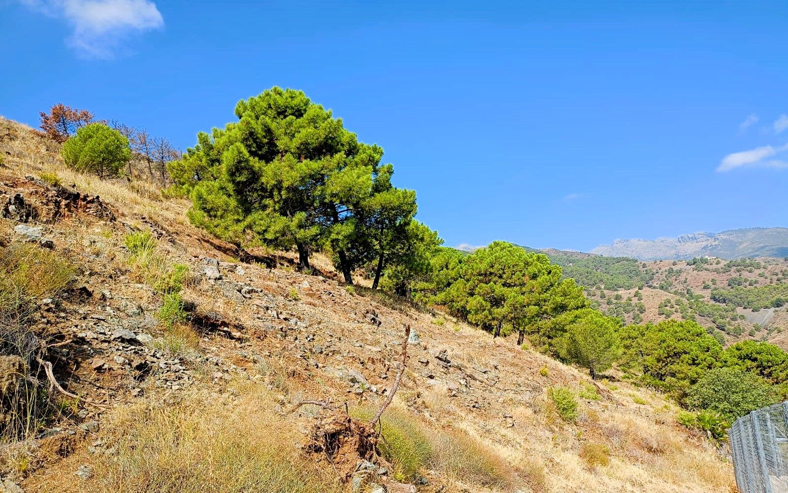 HouseFor Sale, Tolox, Malaga