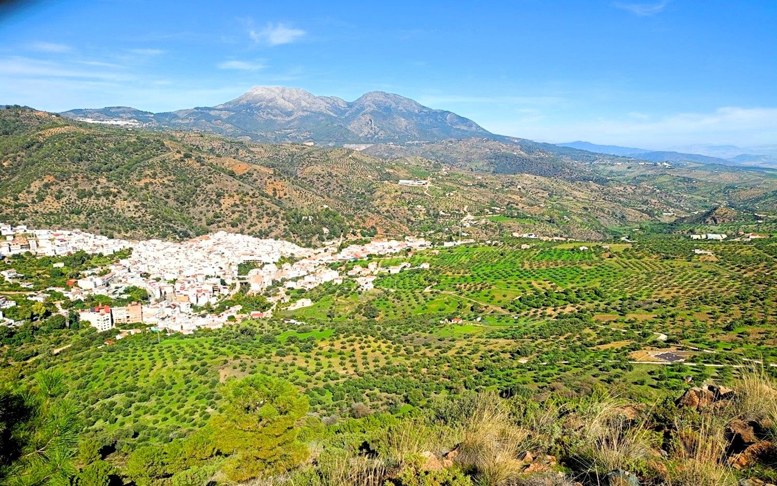 HouseFor Sale, Tolox, Malaga