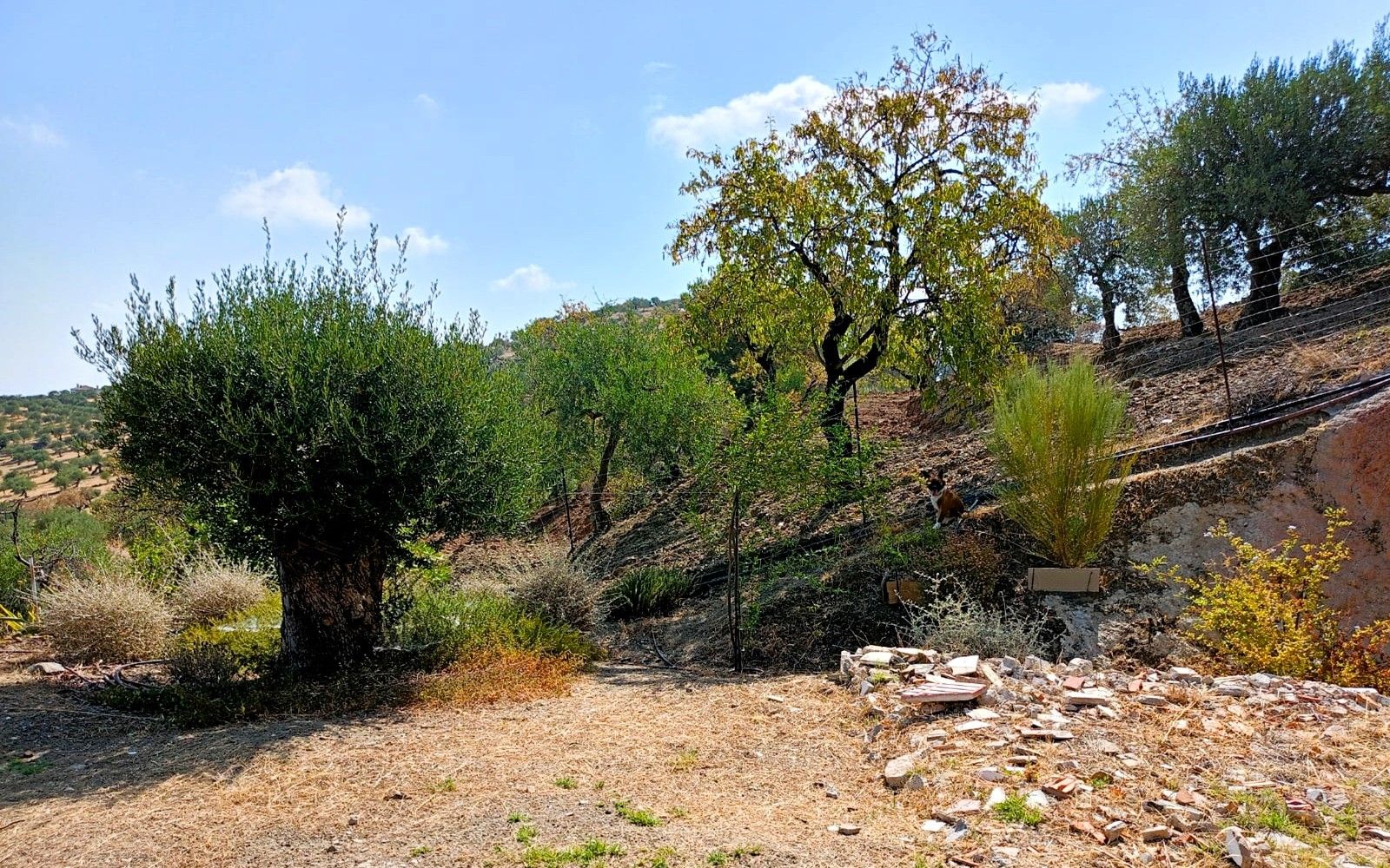 HouseFor Sale, Tolox, Malaga