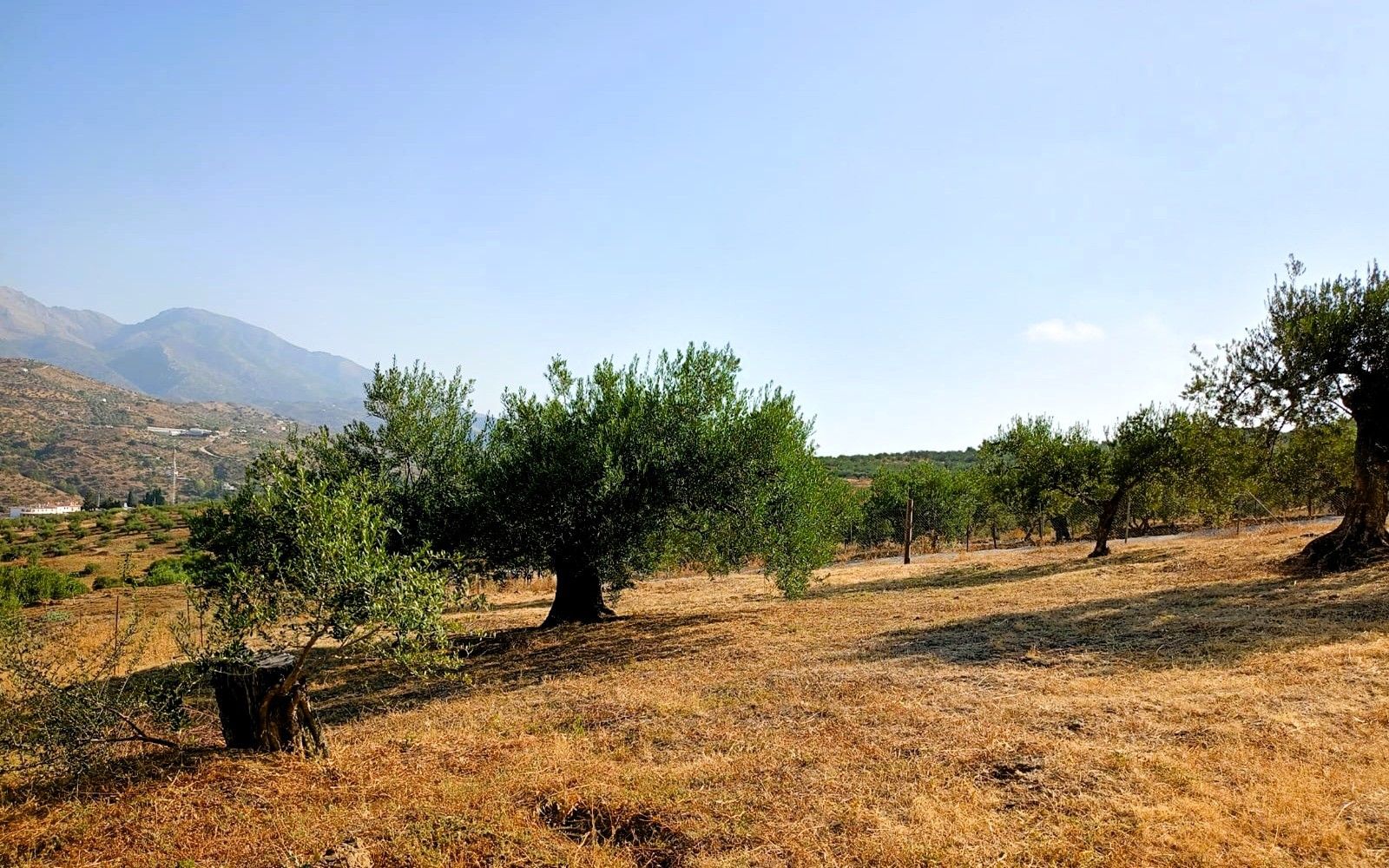 HouseFor Sale, Tolox, Malaga