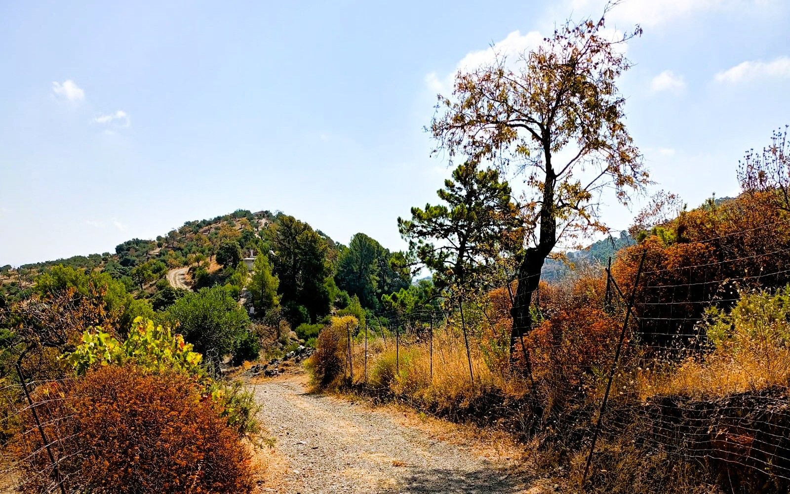 HouseFor Sale, Tolox, Malaga