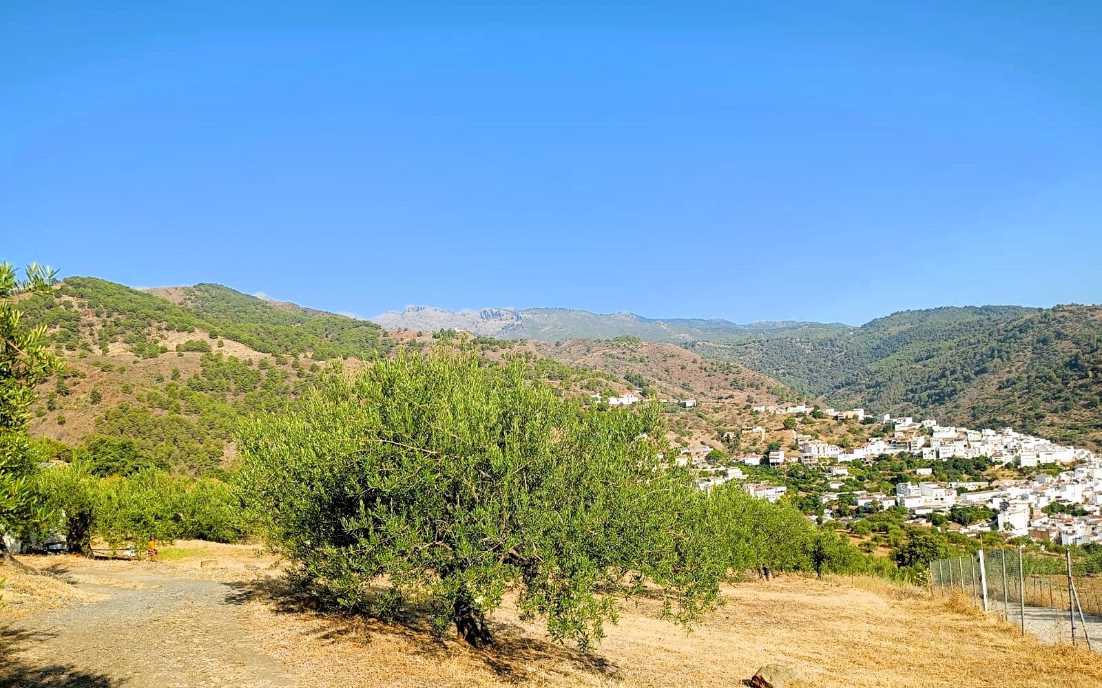 HouseFor Sale, Tolox, Malaga