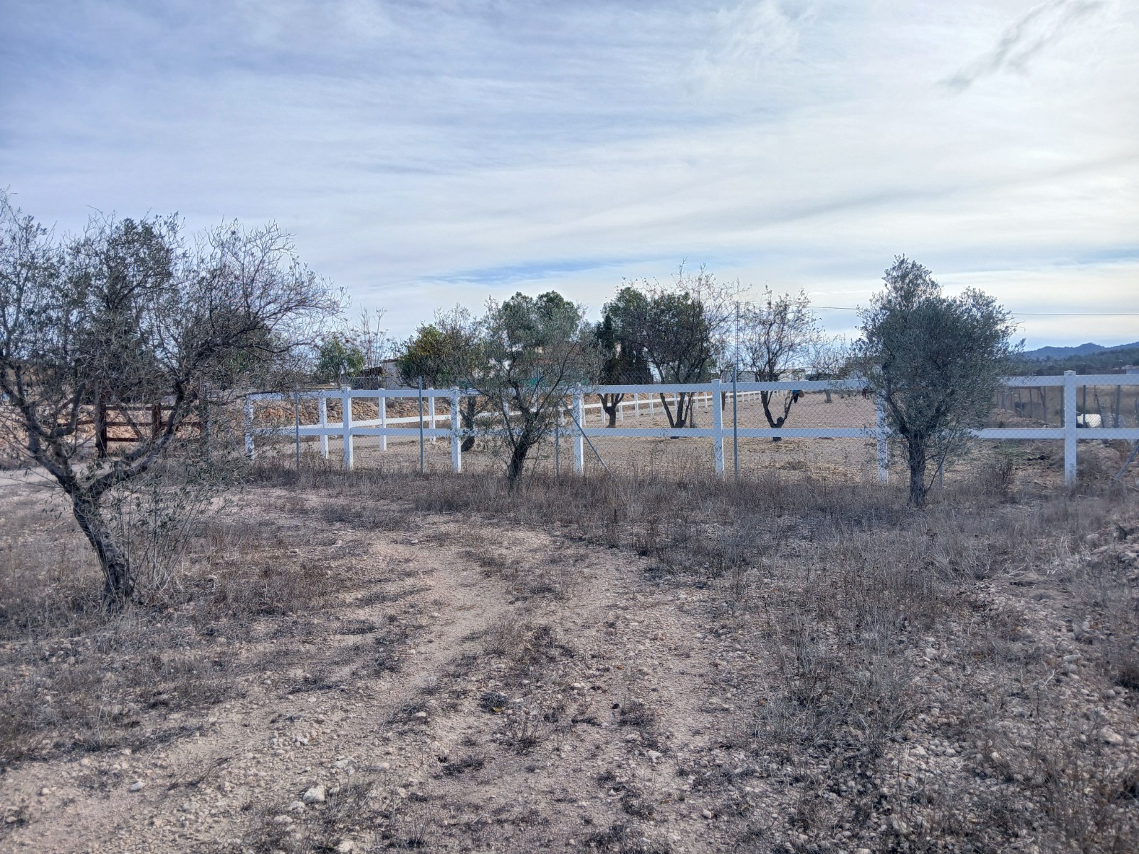 3 Bed, 1 Bath, HouseFor Sale, Monóvar/Monóver, Alicante