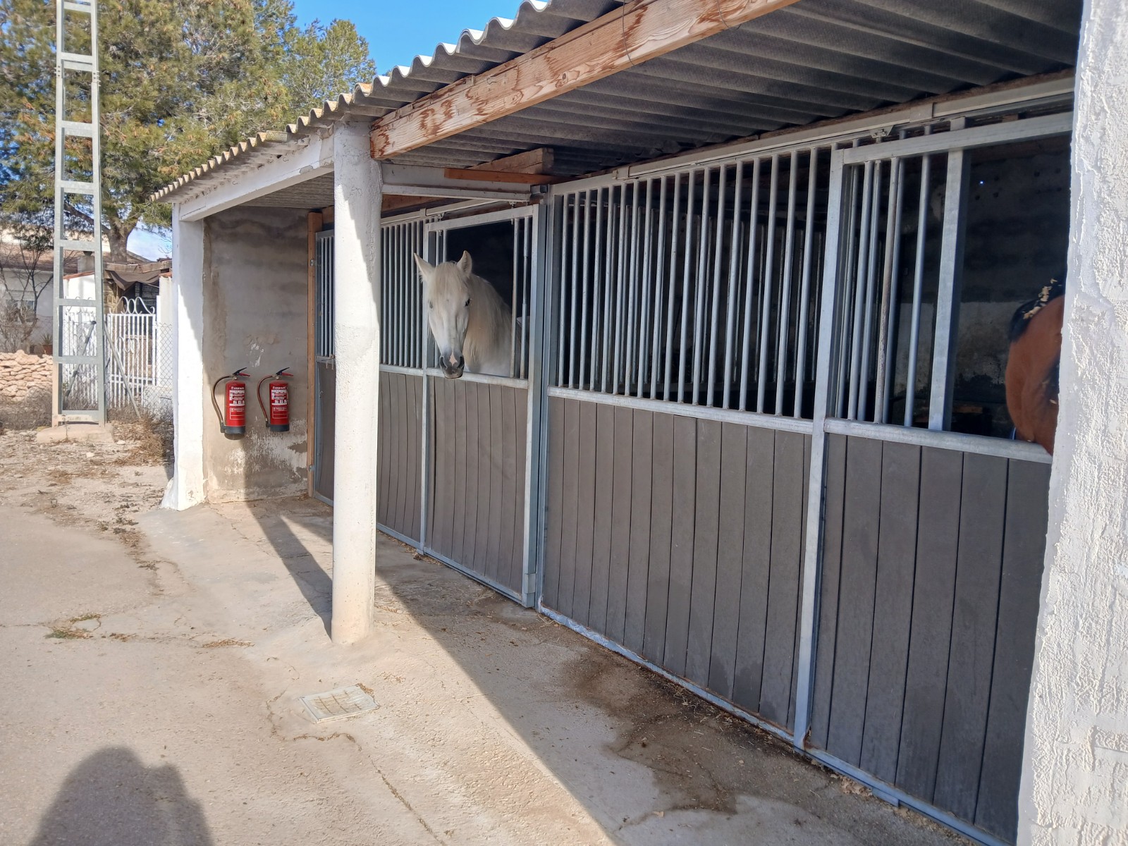 3 Bed, 1 Bath, HouseFor Sale, Monóvar/Monóver, Alicante