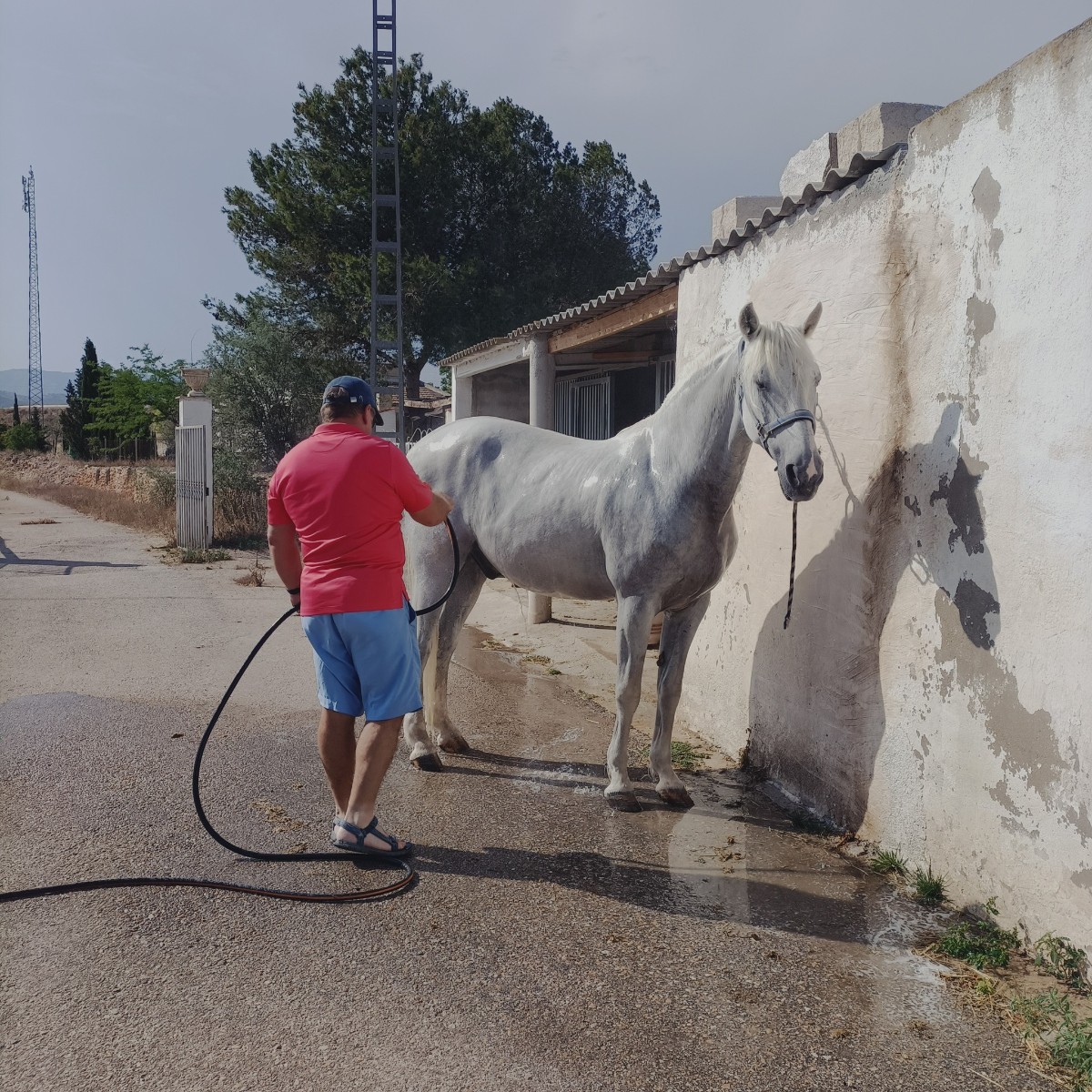 3 Bed, 1 Bath, HouseFor Sale, Monóvar/Monóver, Alicante