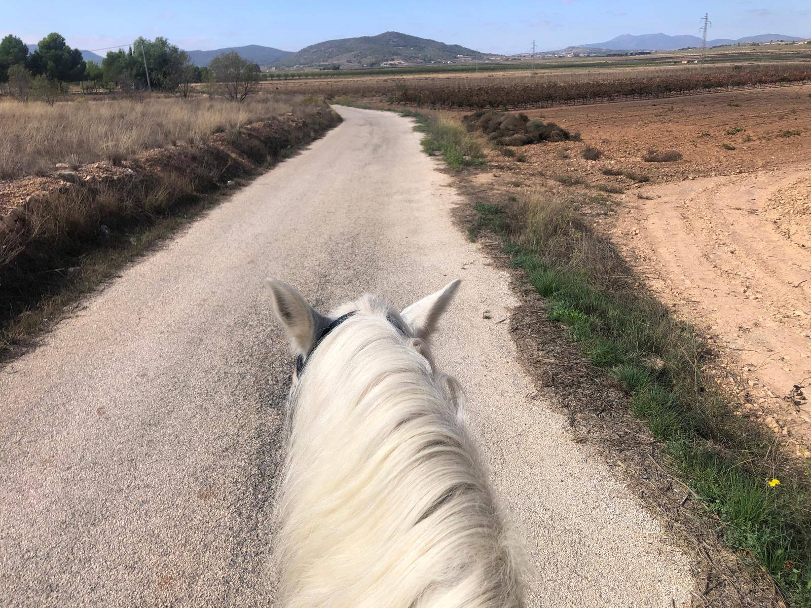 3 Bed, 1 Bath, HouseFor Sale, Monóvar/Monóver, Alicante