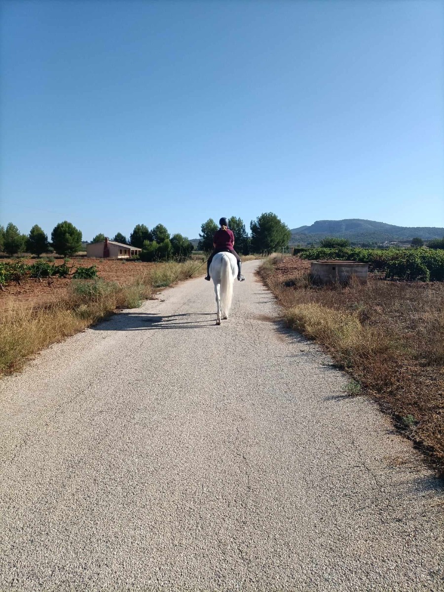 3 Bed, 1 Bath, HouseFor Sale, Monóvar/Monóver, Alicante