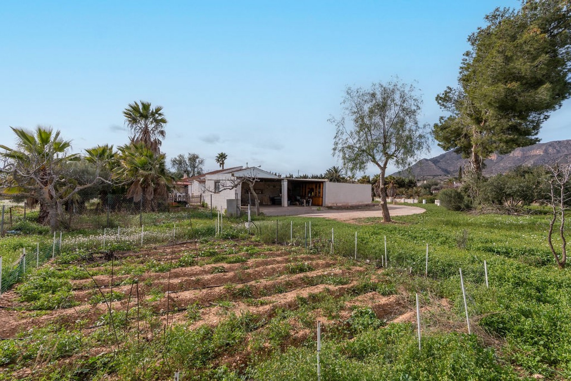 3 Bed, 2 Bath, HouseFor Sale, Hondon De Las Nieves, Alicante