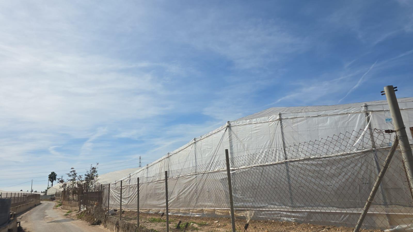 HouseFor Sale, Pilar De La Horadada, Alicante