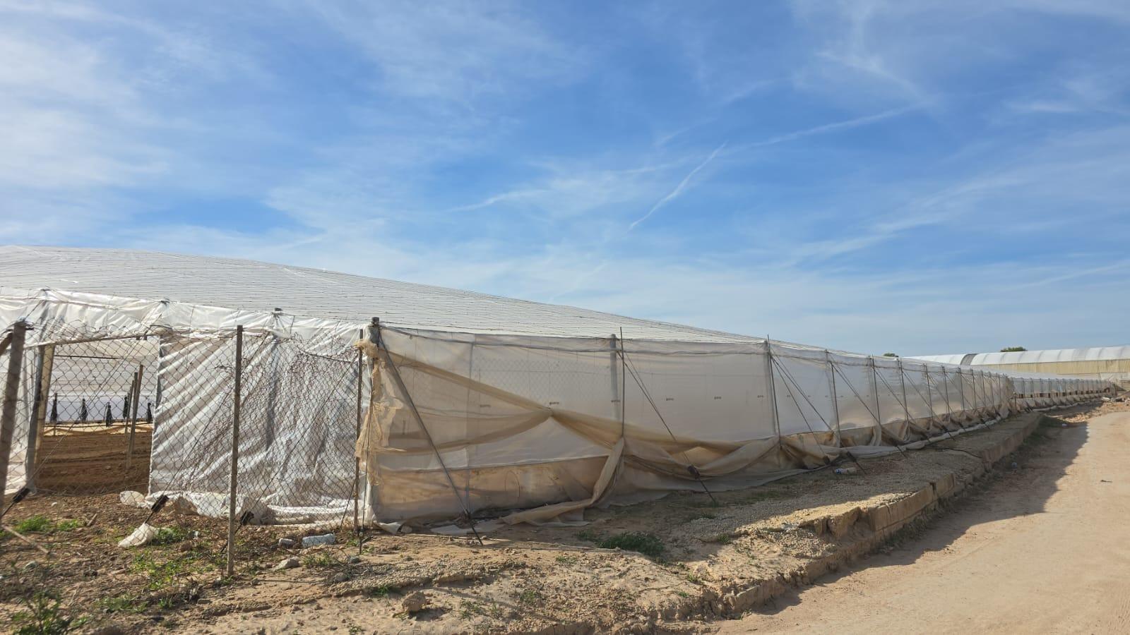 HouseFor Sale, Pilar De La Horadada, Alicante