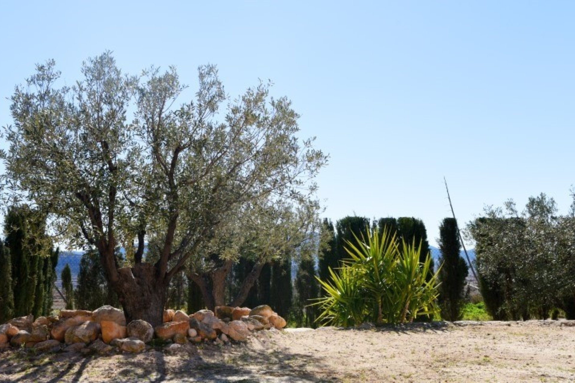 4 Bed, 2 Bath, HouseFor Sale, Pinoso, Alicante