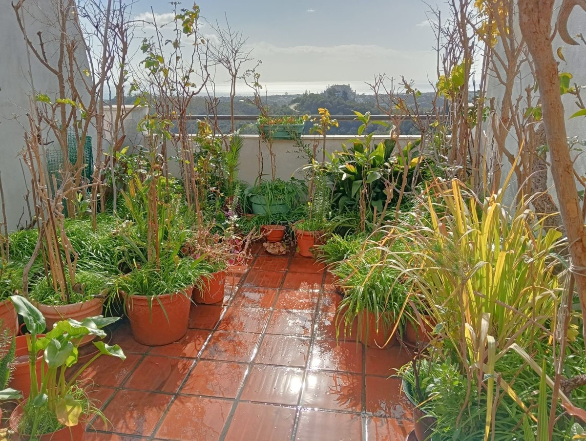 1 Bed, 1 Bath, ApartmentFor Sale, Estepona, Malaga