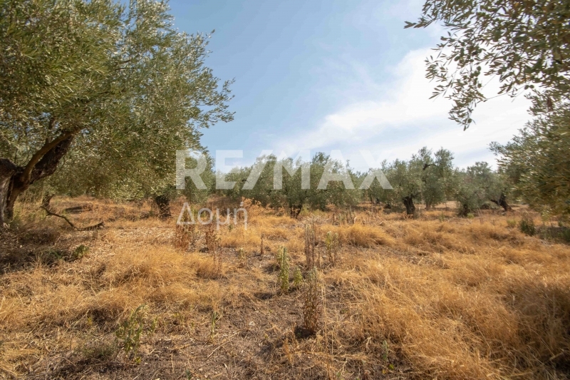 HouseFor Sale, Achilleio, Pteleos, Magnesia