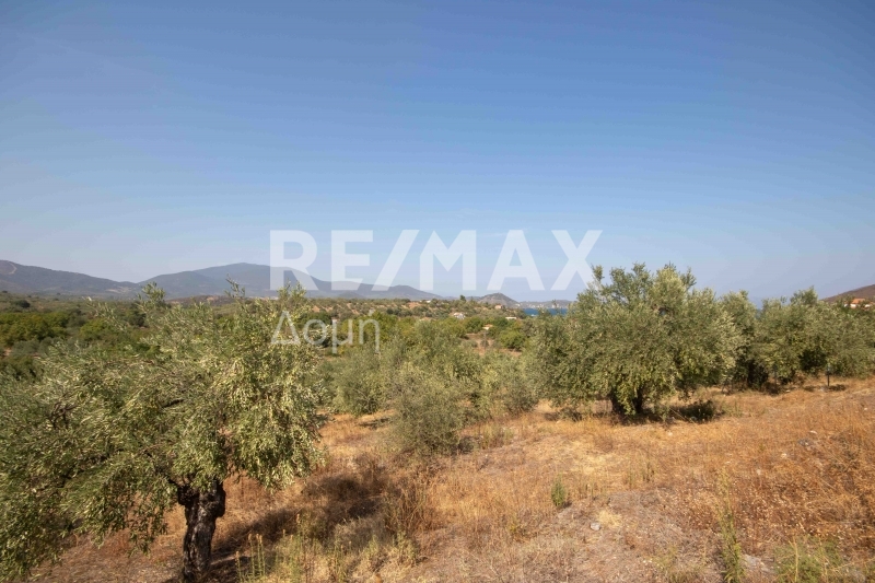 HouseFor Sale, Achilleio, Pteleos, Magnesia