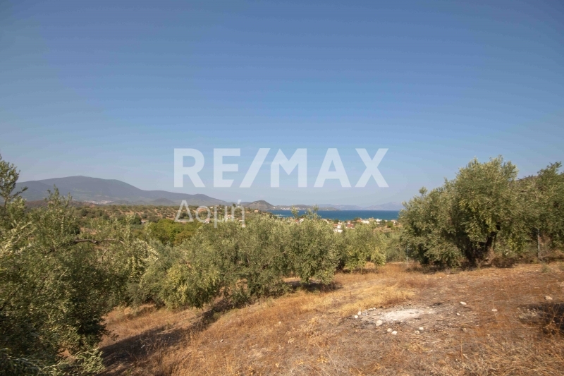 HouseFor Sale, Achilleio, Pteleos, Magnesia