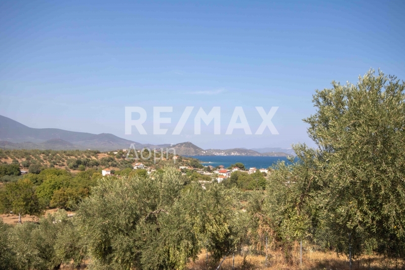 HouseFor Sale, Achilleio, Pteleos, Magnesia