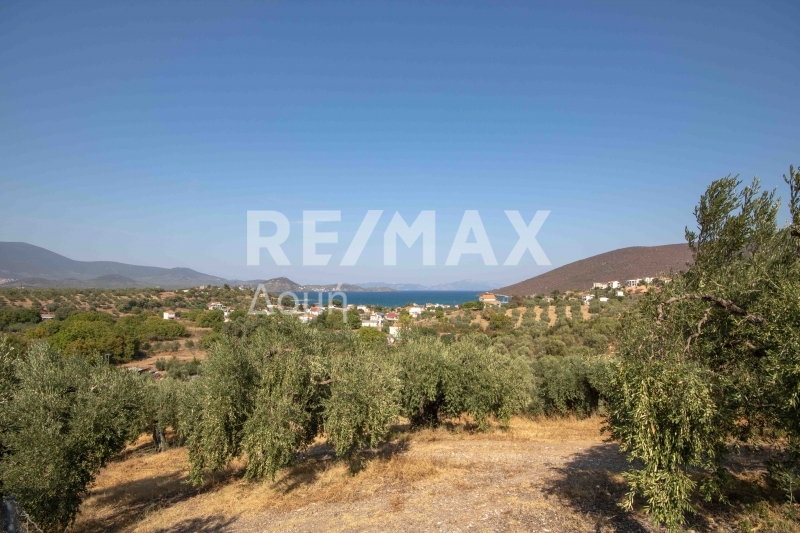 HouseFor Sale, Achilleio, Pteleos, Magnesia