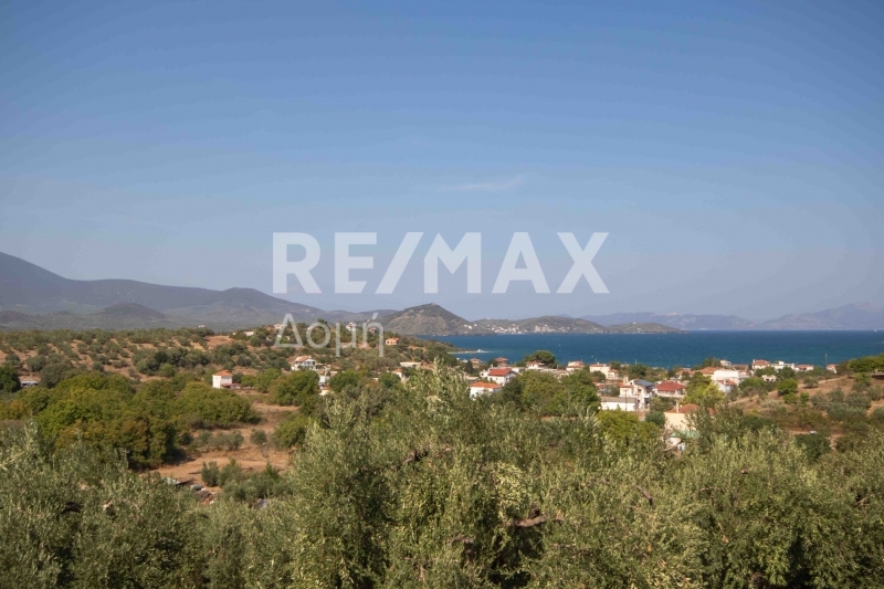 HouseFor Sale, Achilleio, Pteleos, Magnesia
