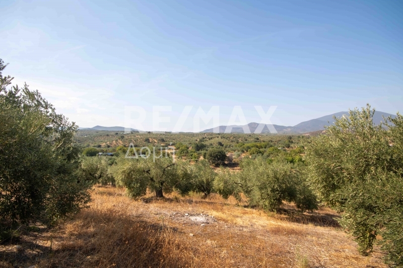 HouseFor Sale, Achilleio, Pteleos, Magnesia