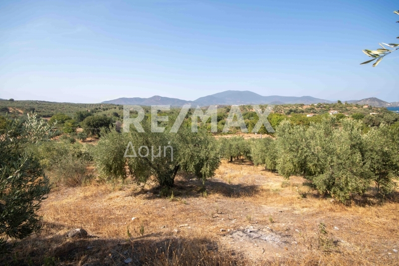 HouseFor Sale, Achilleio, Pteleos, Magnesia