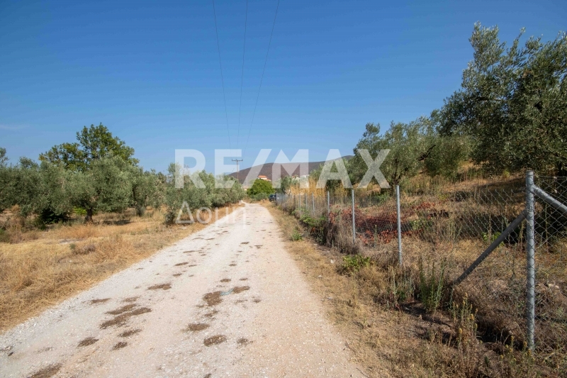 HouseFor Sale, Achilleio, Pteleos, Magnesia