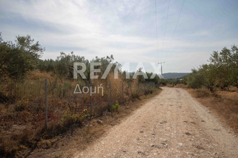 HouseFor Sale, Achilleio, Pteleos, Magnesia