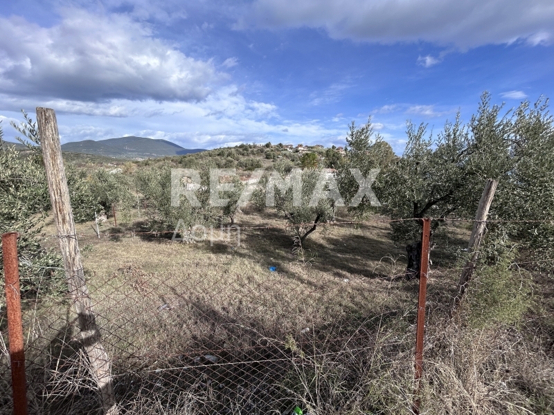 Land, For Sale