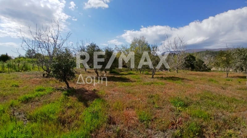HouseFor Sale, Koropi, Milies, Magnesia