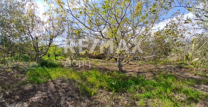 HouseFor Sale, Koropi, Milies, Magnesia