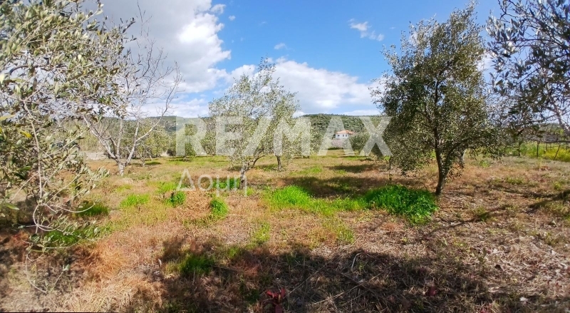 HouseFor Sale, Koropi, Milies, Magnesia