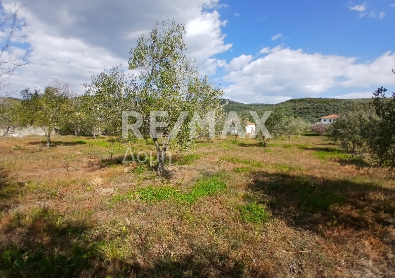 HouseFor Sale, Koropi, Milies, Magnesia