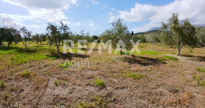 HouseFor Sale, Koropi, Milies, Magnesia
