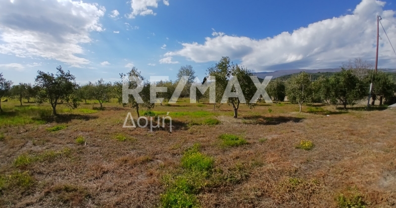 HouseFor Sale, Koropi, Milies, Magnesia