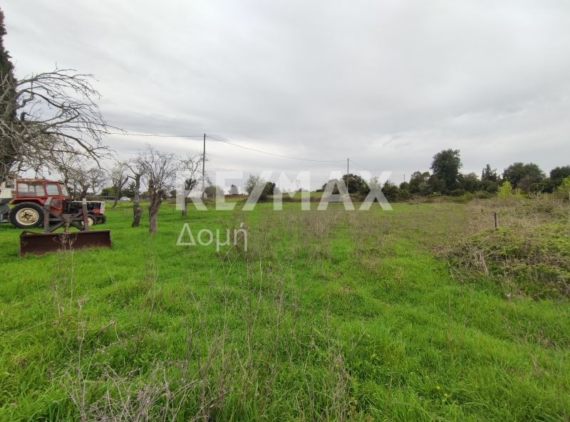 Land, For Sale