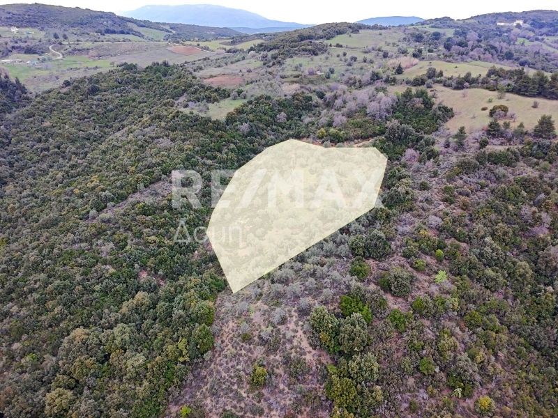 HouseFor Sale, Xinovrisi, Argalasti, Magnesia