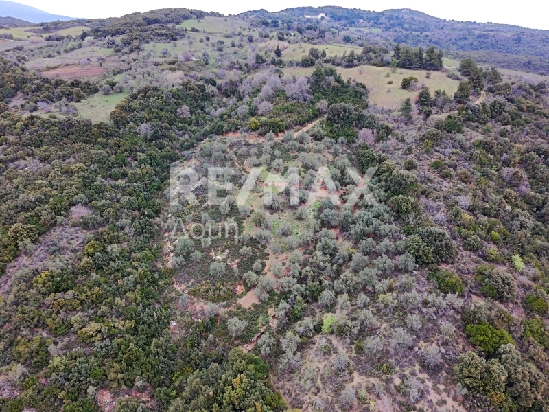 HouseFor Sale, Xinovrisi, Argalasti, Magnesia