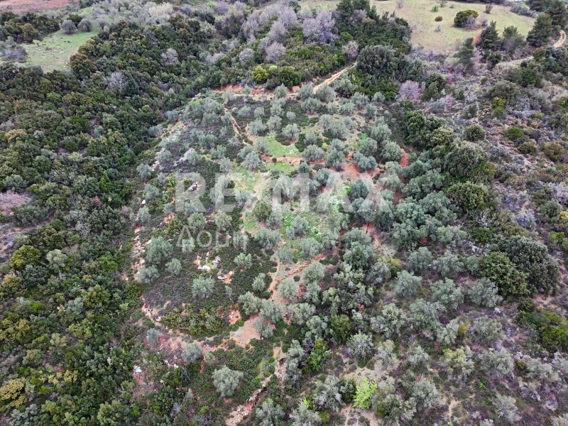 HouseFor Sale, Xinovrisi, Argalasti, Magnesia