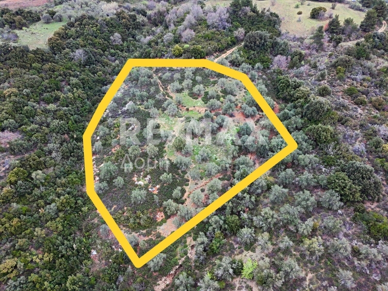 HouseFor Sale, Xinovrisi, Argalasti, Magnesia