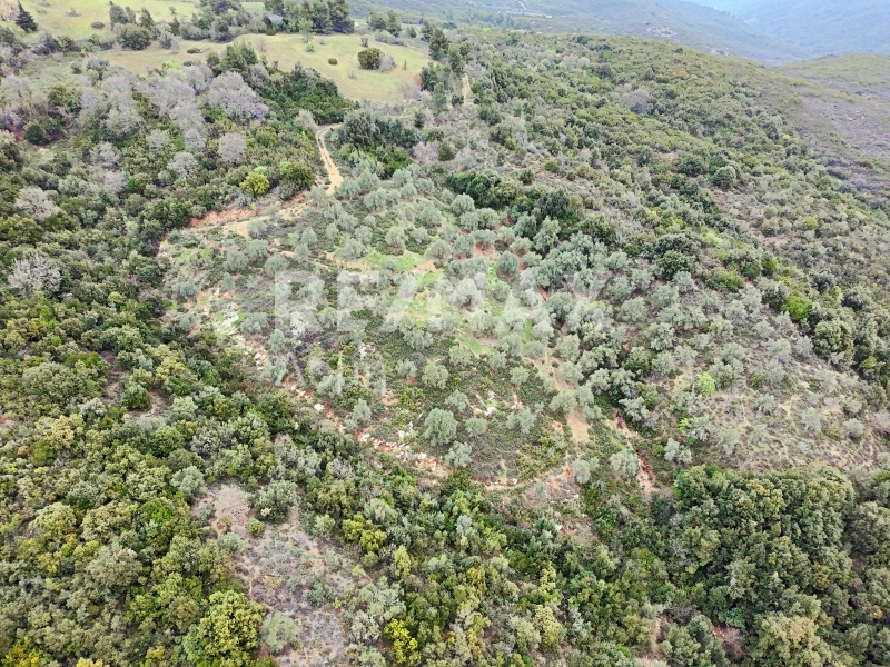 HouseFor Sale, Xinovrisi, Argalasti, Magnesia