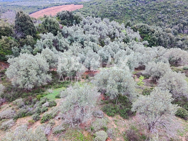 HouseFor Sale, Xinovrisi, Argalasti, Magnesia