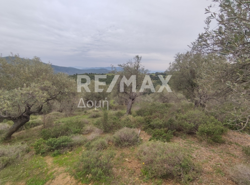 HouseFor Sale, Xinovrisi, Argalasti, Magnesia