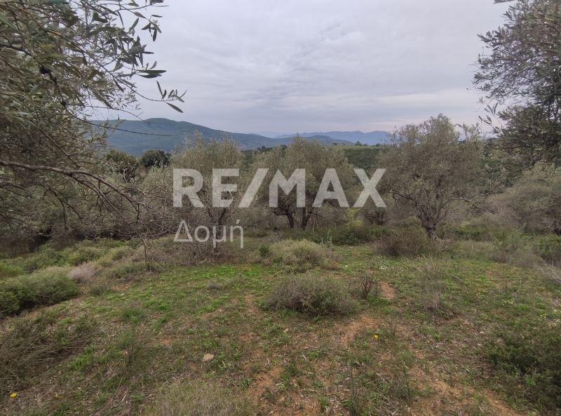 HouseFor Sale, Xinovrisi, Argalasti, Magnesia