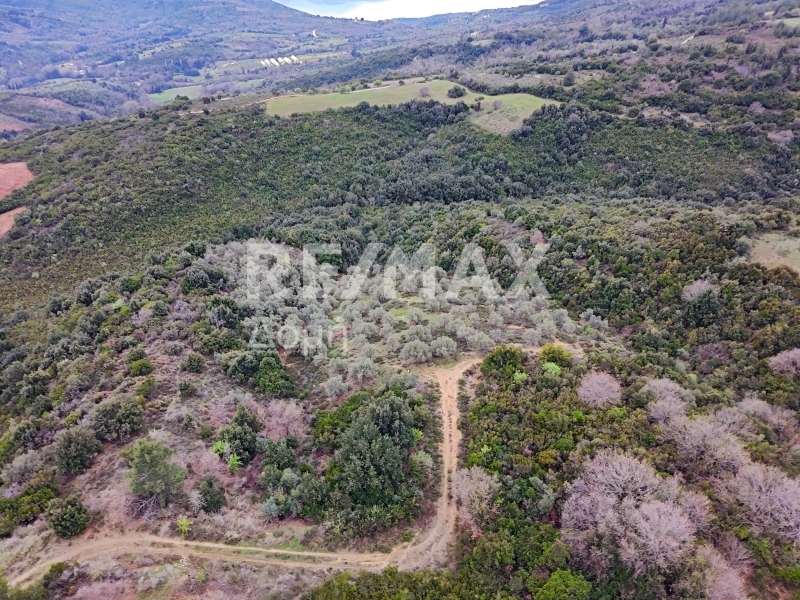 HouseFor Sale, Xinovrisi, Argalasti, Magnesia