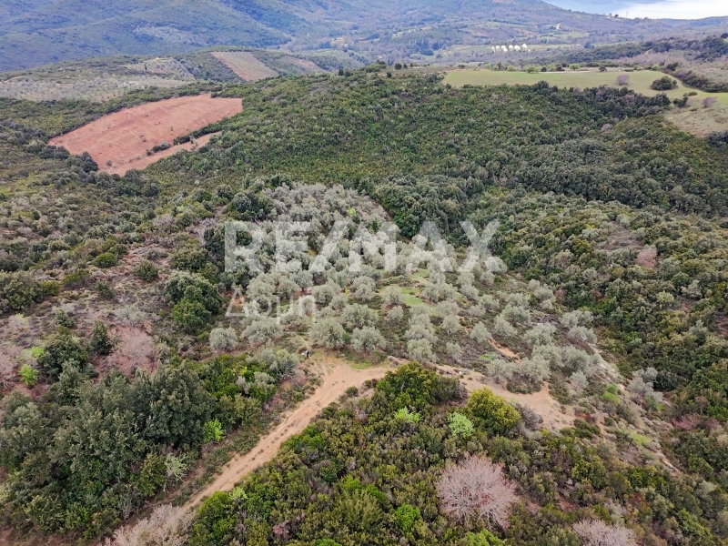 HouseFor Sale, Xinovrisi, Argalasti, Magnesia