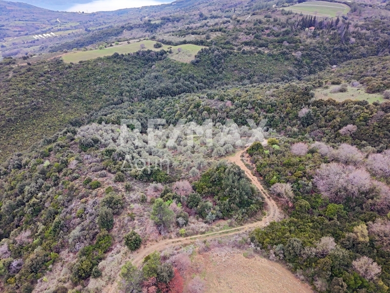 HouseFor Sale, Xinovrisi, Argalasti, Magnesia