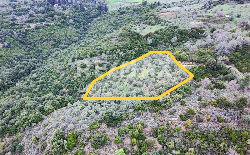 HouseFor Sale, Xinovrisi, Argalasti, Magnesia