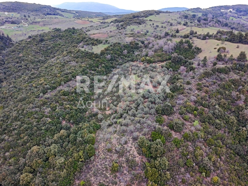 HouseFor Sale, Xinovrisi, Argalasti, Magnesia